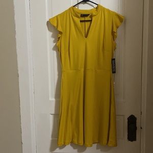 NWT!! New York & Company Dress